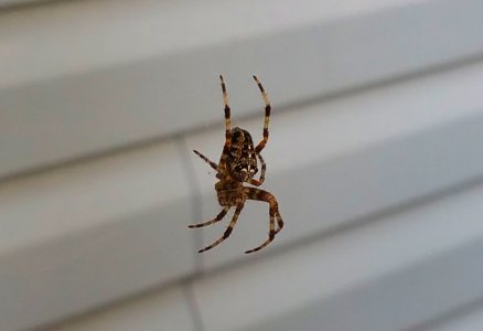 20150905_150537.jpg