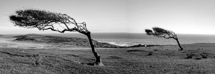 _20150913_132108.jpg