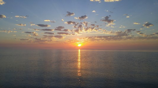 20151001_072600-straightened-resized.jpg