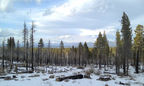 2012-02-18 16.10.16.jpg
