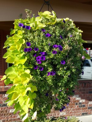 20150907_173708-1.jpg