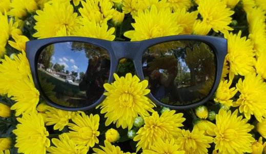 20150917_121953.jpg