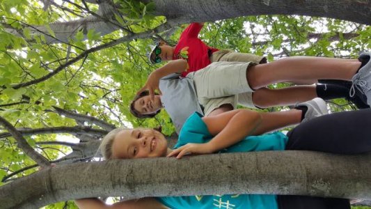 20150820_155653.jpg