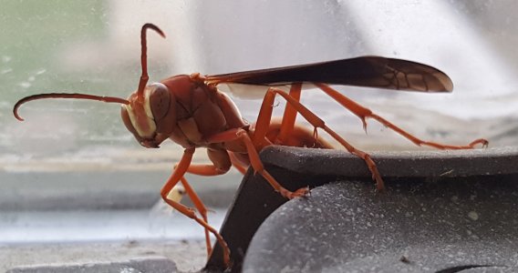 20151005_180139.jpg
