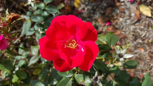 20151004_132416.jpg