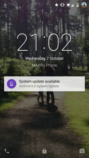 95393.jpg