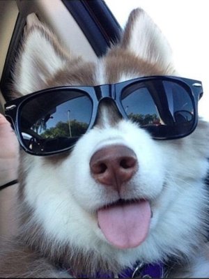 97c4a4fa4b89bdbbb0554abd8031fa1c.jpg