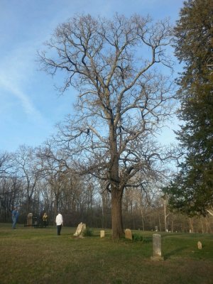 20150412_184040_resized2.jpg