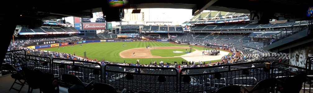 Mets game.jpg