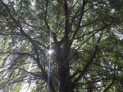 20150921_125314.jpg