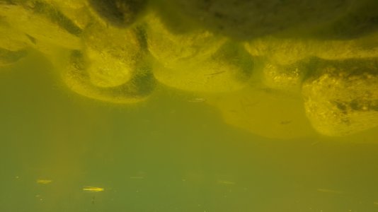 20151004_125712.jpg