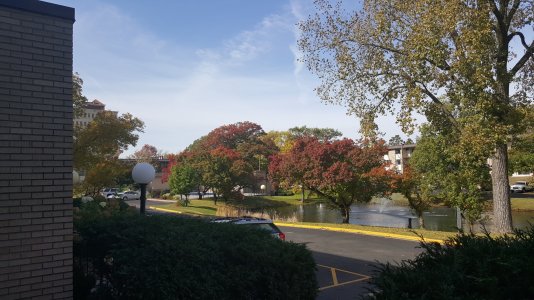 20151010_134018.jpg