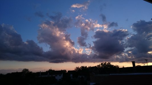 DSC_0031.jpg