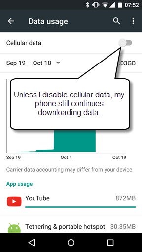 cellular_data_setting.jpg