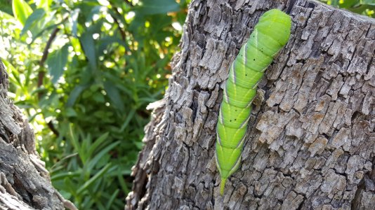 20151004_101556.jpg