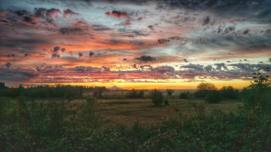 20150925_065347-01.jpg