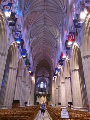 IMG_20150730_112906.jpg