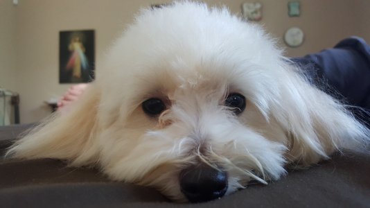 20151015_150444.jpg