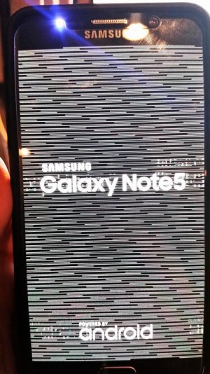 note5-1.jpg