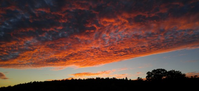 1005151830c cropped.jpg