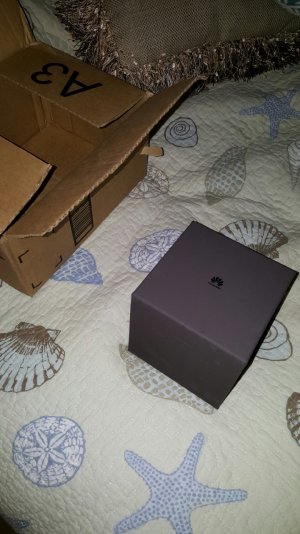 20151001_165345.jpg