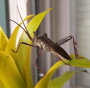 20150830_162634.jpg