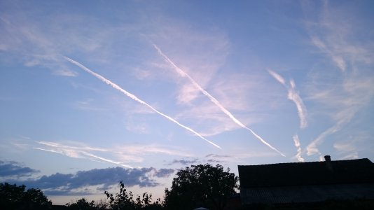DSC_0021.jpg