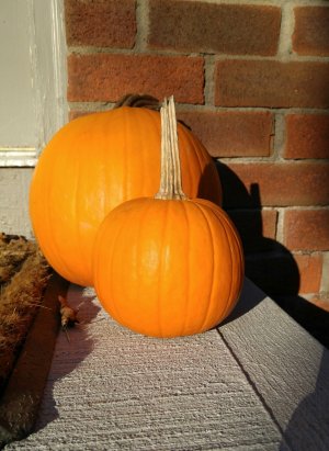 1102150810-01.jpg