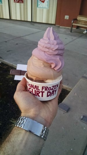 FroYo.jpg