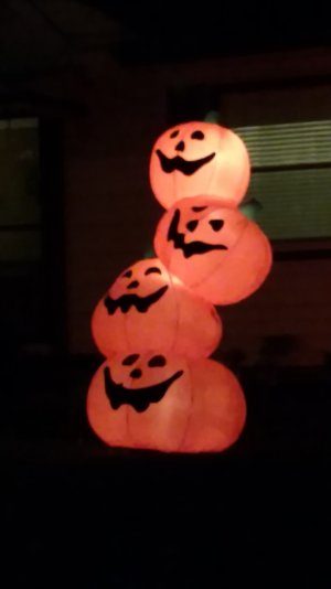 IMG_20151021_205616270.jpg