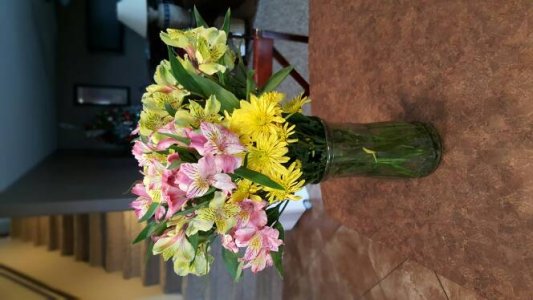 20151211_101614.jpg