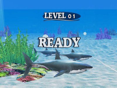 fishrace.jpg