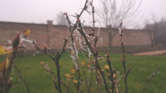 DSC_0004.jpg