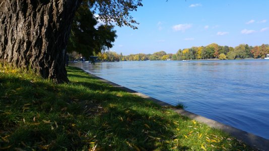 20151025_131220.jpg