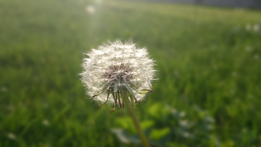 20151120_141732.jpg