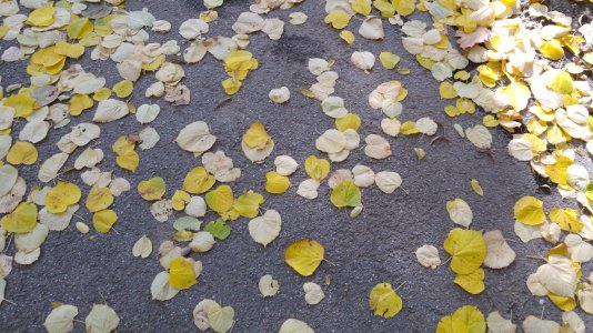 20151025_135920.jpg