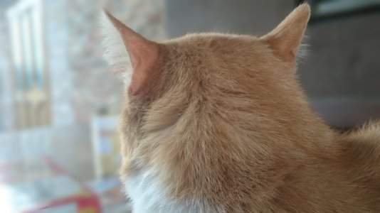 20151120_142031.jpg