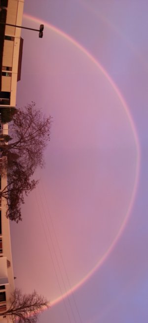 20121221_072256.jpg