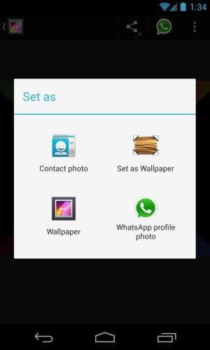 uploadfromtaptalk1356269723318.jpg