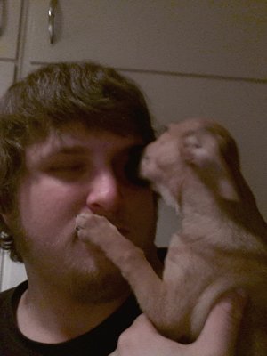 20121217_195107.jpg