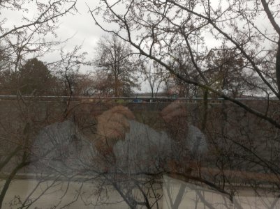 IMG_20121217_125104.jpg