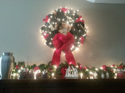 20121213_132118.jpg