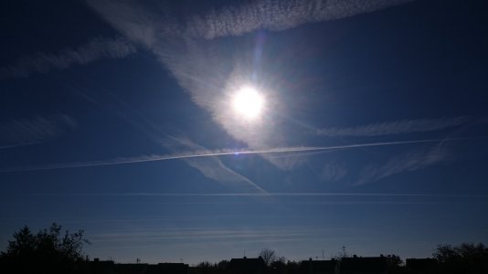 DSC_0009.jpg
