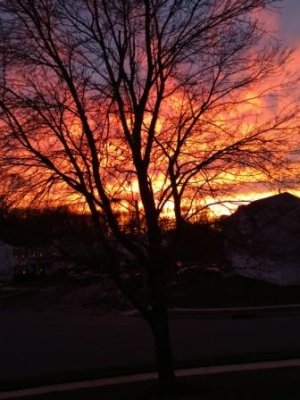 sunsetnov2015sm.jpg