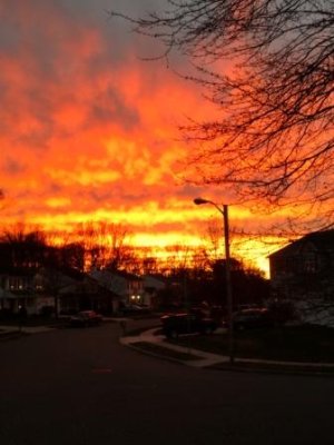 sunset2sm.jpg