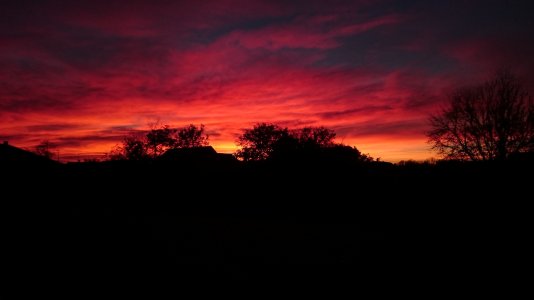 DSC_0017.jpg
