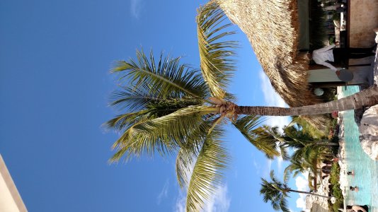 20150322_132058.jpg