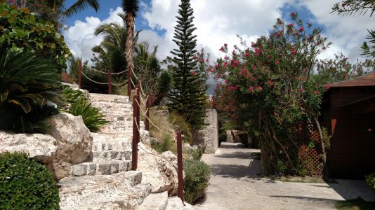 20150322_105947.jpg