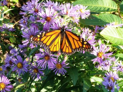 20140920_162017_Android.jpg