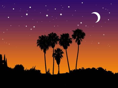 Backgrounds_10784.jpg